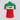BIC Italy Short Sleeve Retro Cycling Jersey - Short sleeve back